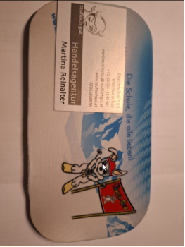 Skibrillen-Schutzhülle mit Logodruck Sonderanfertigung